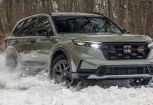 ¿Cuáles son los 5 SUVs del 2026 ideales para familias con mascotas?